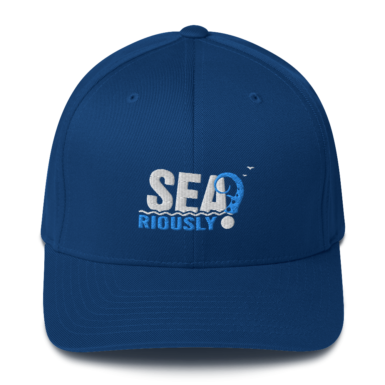Structured Twill Cap (FlexFit)