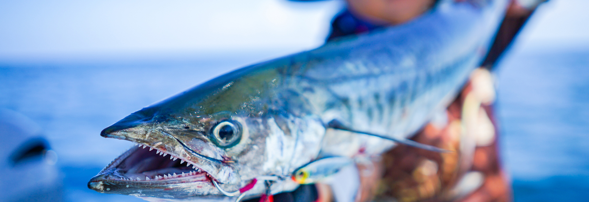 Picture of NEARSHORE FISHING